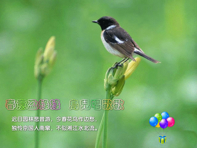 2013年05月02日 - zjccrn - zjccrn
