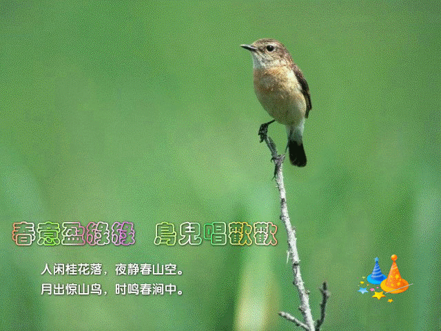 2013年05月02日 - zjccrn - zjccrn
