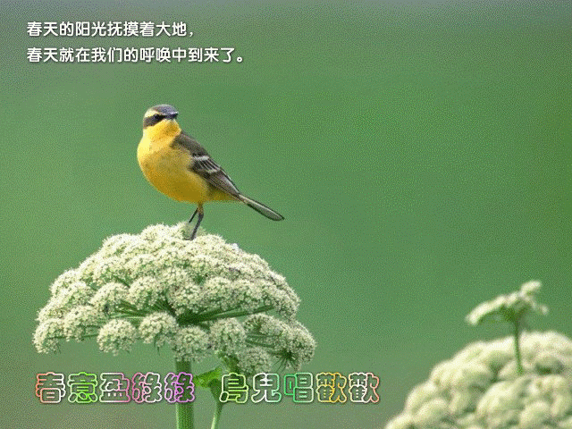 2013年05月02日 - zjccrn - zjccrn